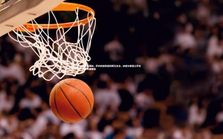 开云体育下载-前教练揭秘，萨内性格敏感特质引关注，纳格尔斯曼公开批评策略遭质疑