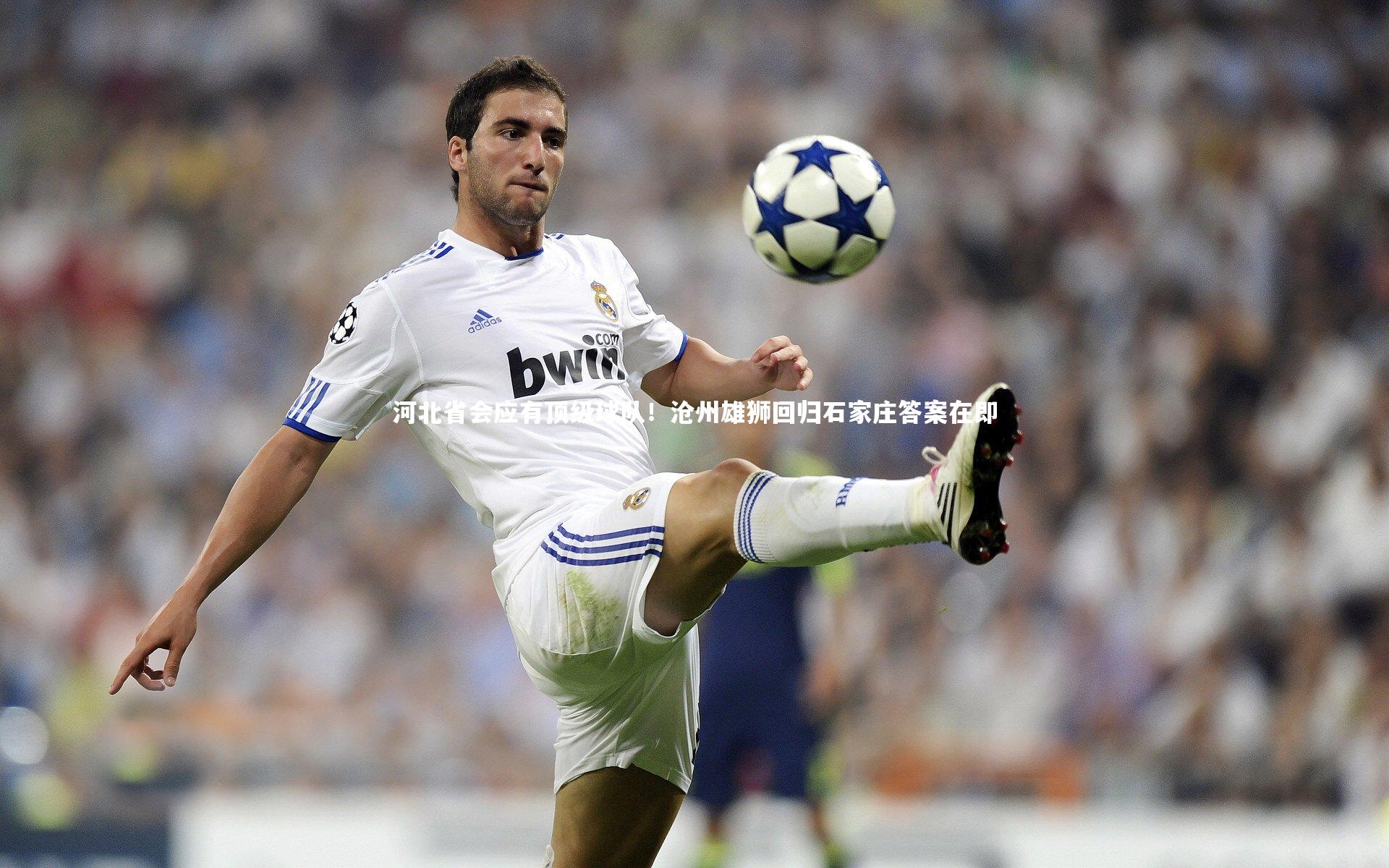 开云体育下载_河北省会应有顶级球队！沧州雄狮回归石家庄答案在即-第1张图片-开云官网入口