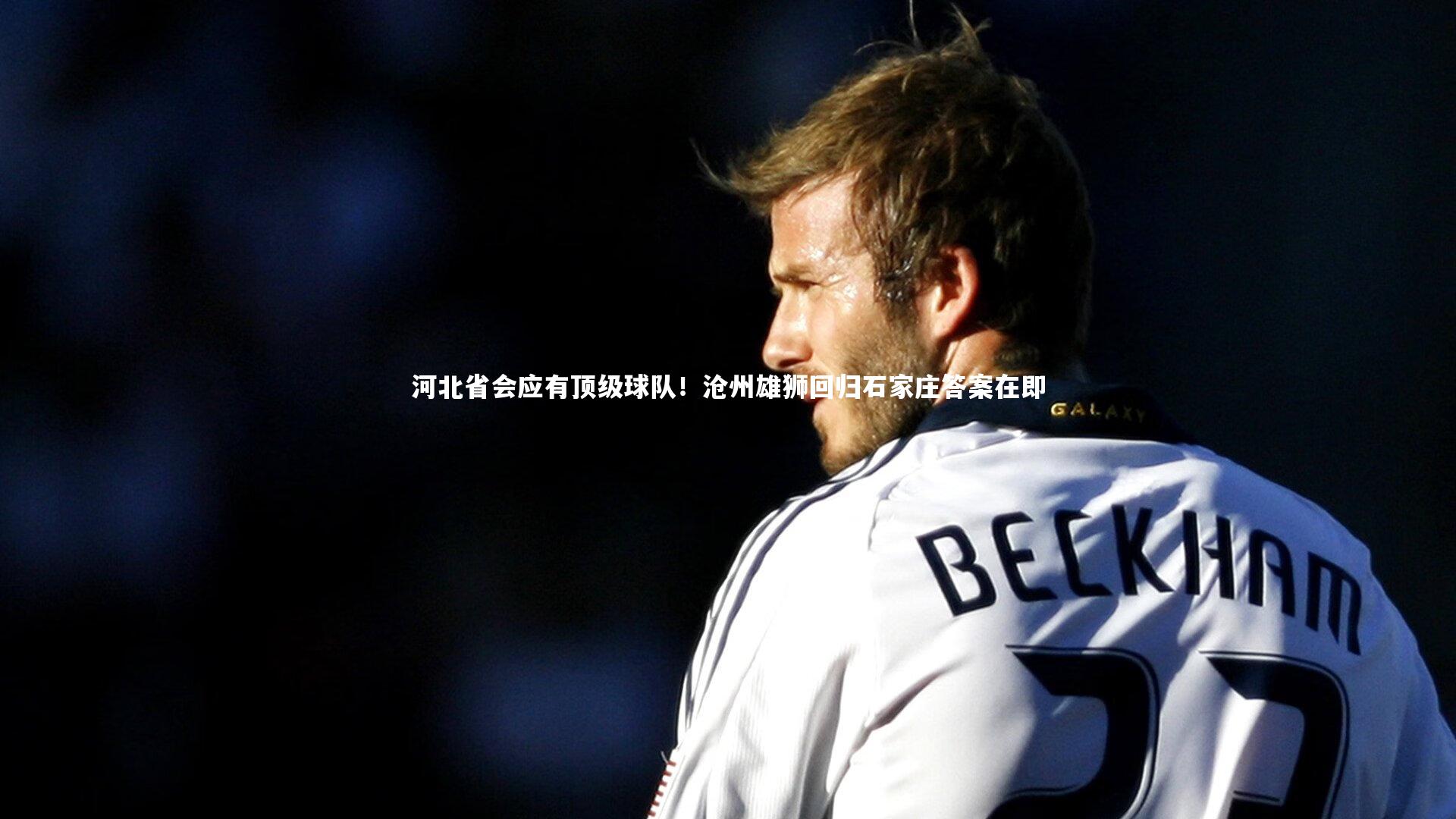 开云体育下载_河北省会应有顶级球队！沧州雄狮回归石家庄答案在即-第2张图片-开云官网入口